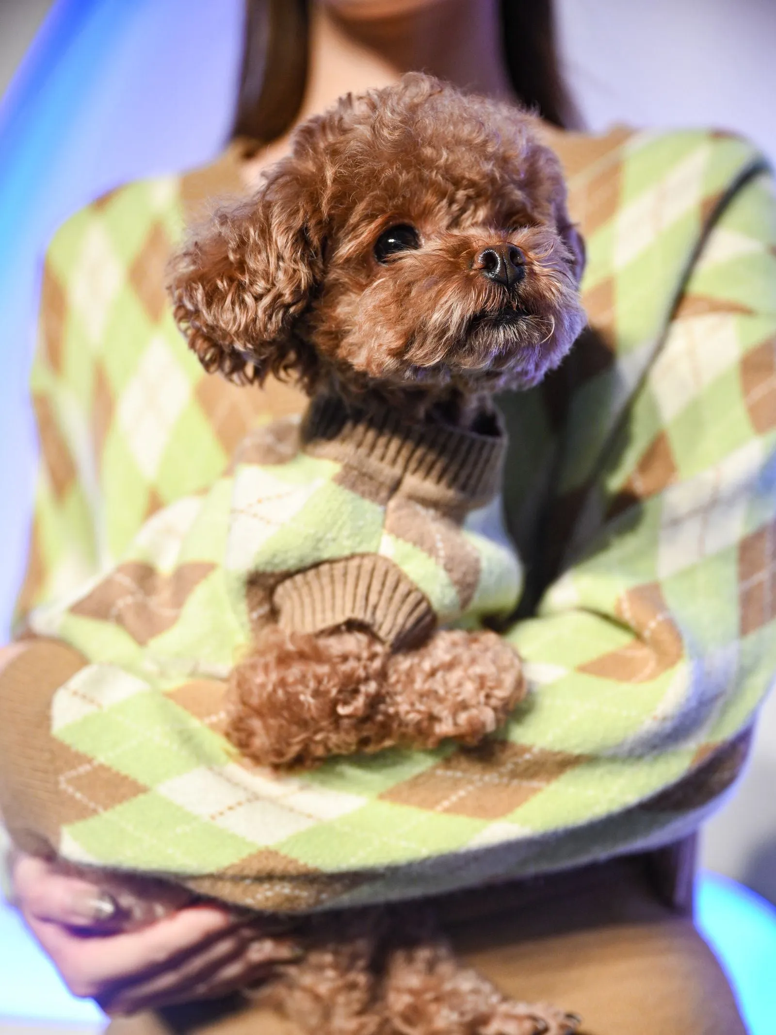 Argyle Plaid Cat Human Matching Cardigan