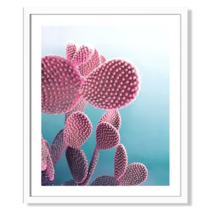 Framed Print, Candy Cactus