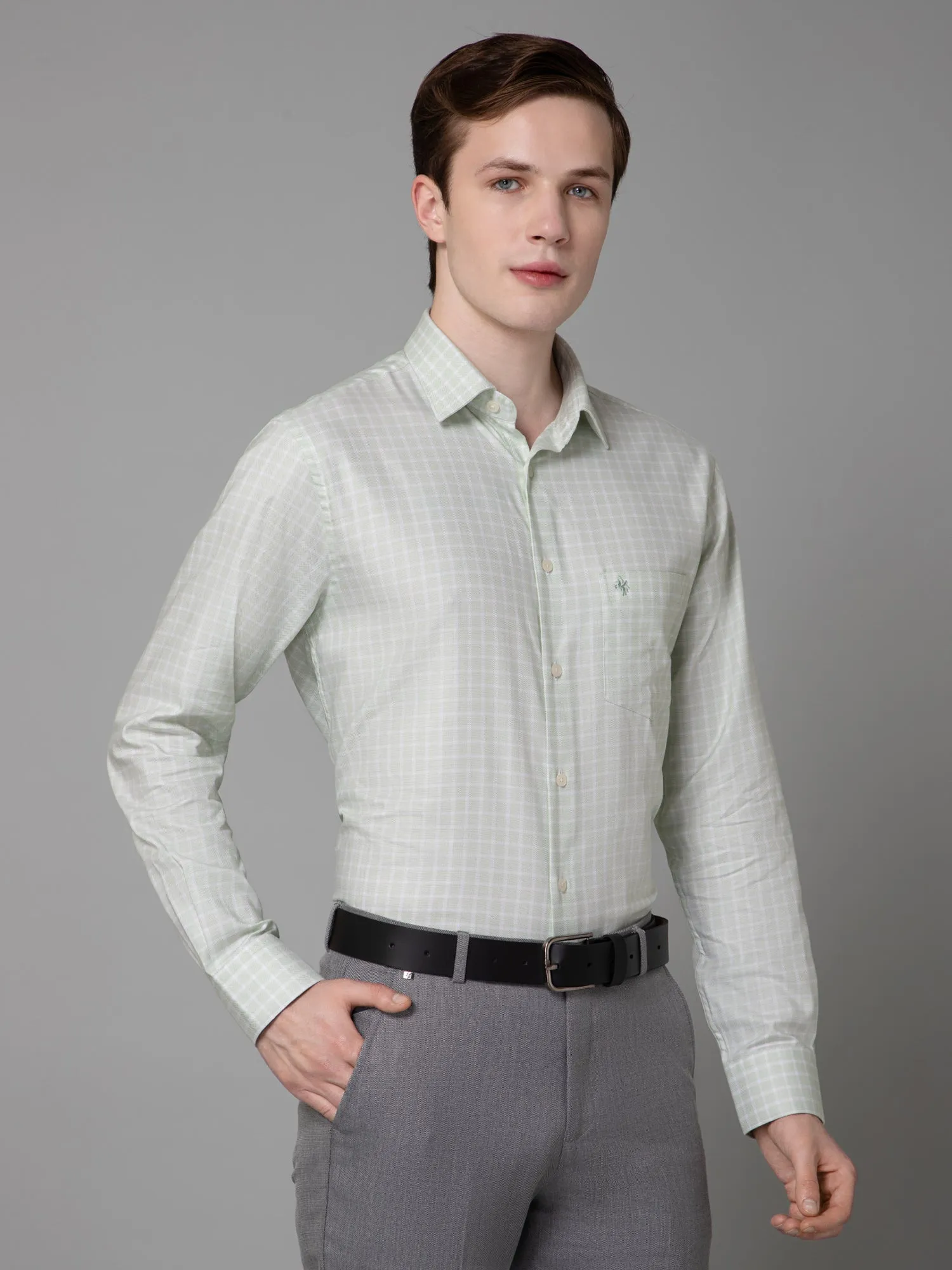 Men's Green Formal Small Checks Full Sleeve Shirt