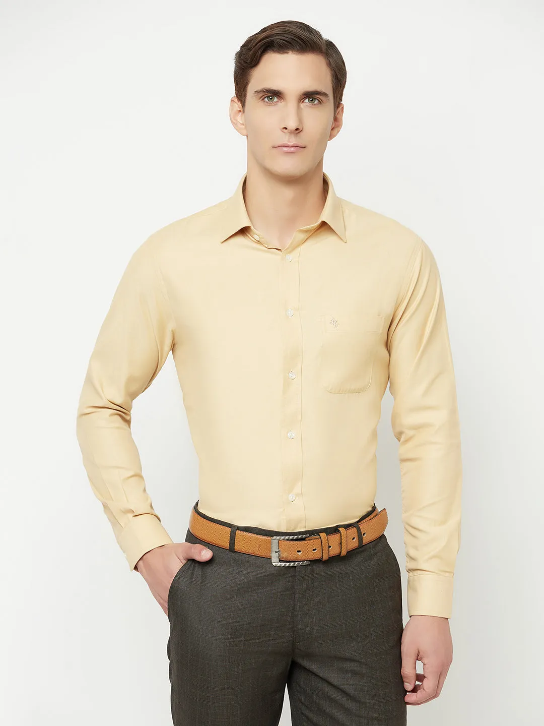 Men's Khaki Formal Self Textured Full Sleeve Shirt