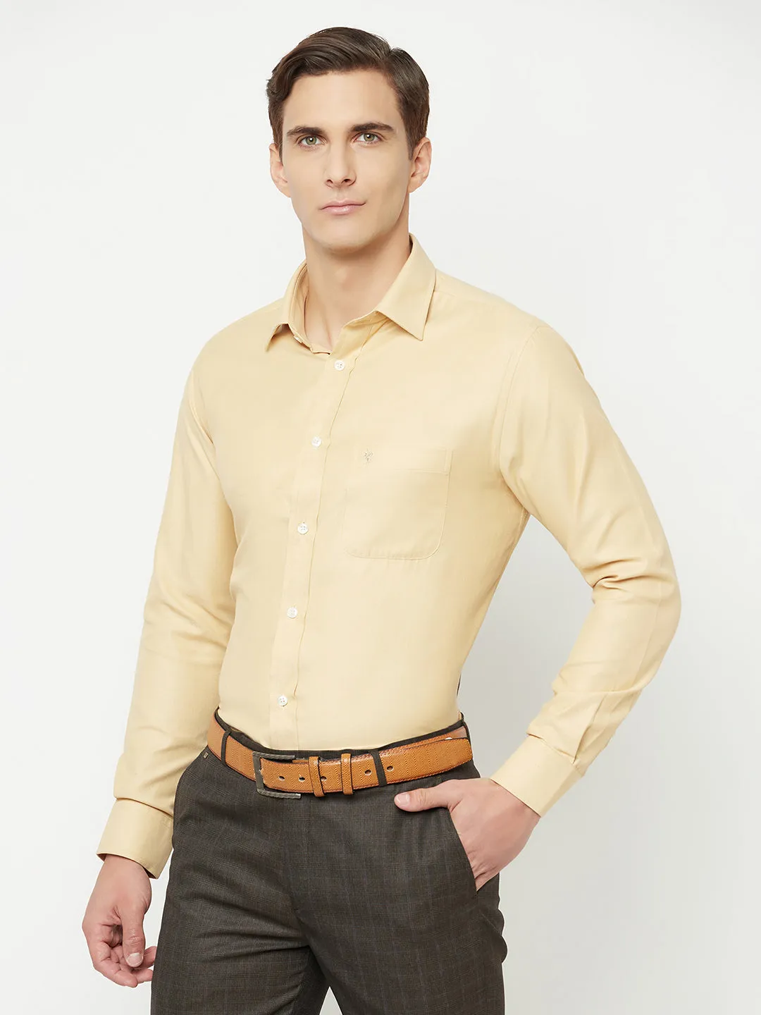 Men's Khaki Formal Self Textured Full Sleeve Shirt