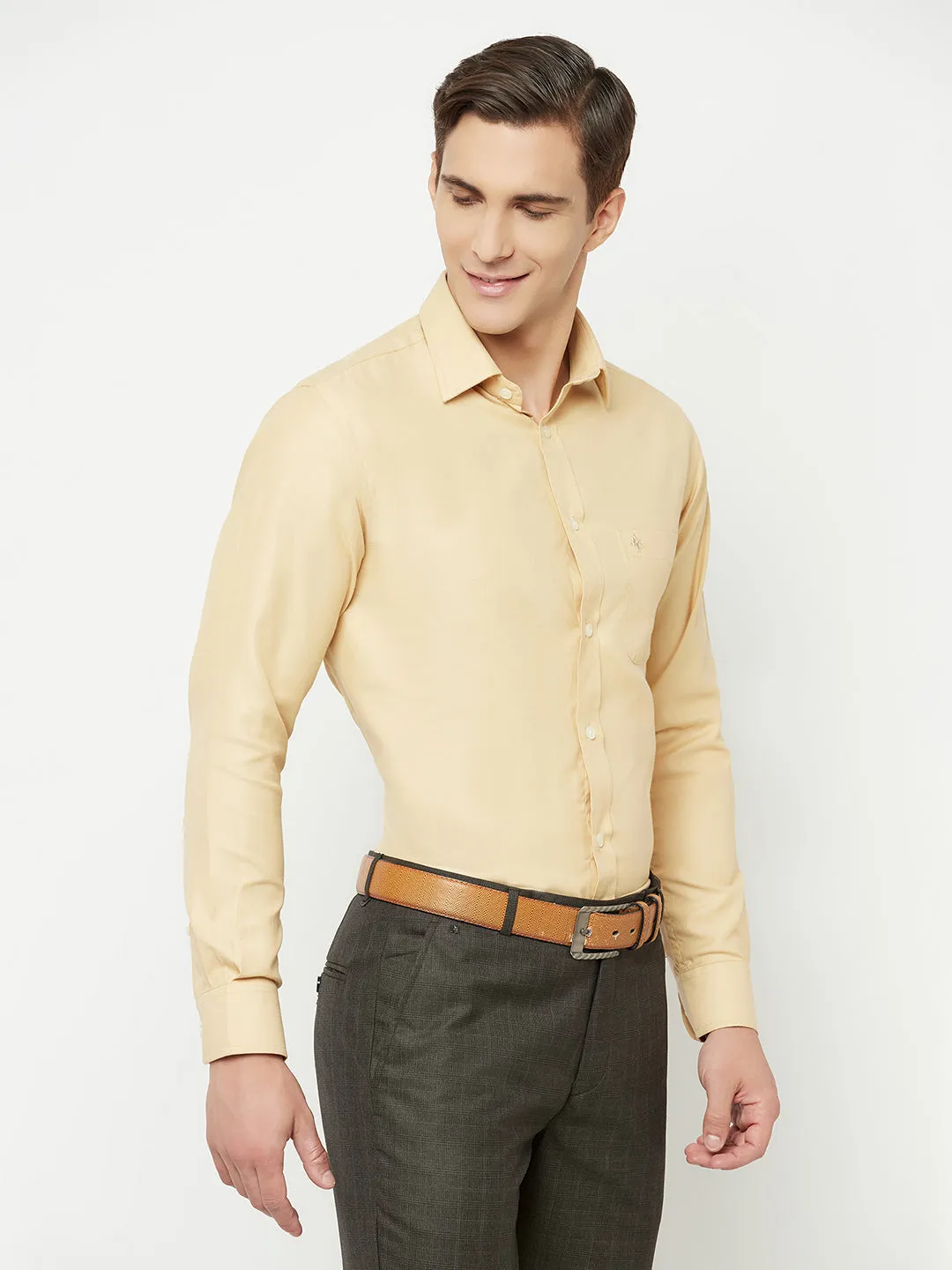 Men's Khaki Formal Self Textured Full Sleeve Shirt